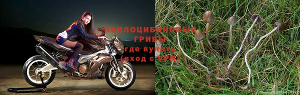 МДМА Беломорск